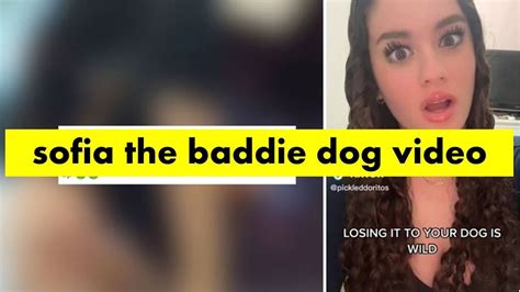 sophie the baddie dog|[Updated] Sofia The Baddie Dog Reddit: Check The Original。